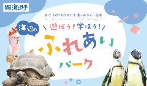 海と日本PROJECT 海・みなと・蒲郡　蒲コス COSPLAY IN GAMAGORI