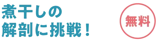 煮干しの解剖に挑戦